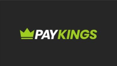 paykings-introduces-premier-high-risk-merchant-processing-solutions-for-seamless-approval