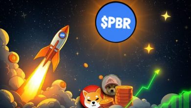 the-rise-of-$pbr:-3-reasons-shiba-inu-and-wif-investors-are-jumping-in