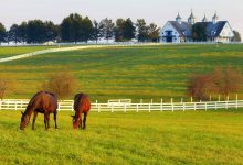 looking-for-a-financial-advisor-in-lexington,-kentucky?