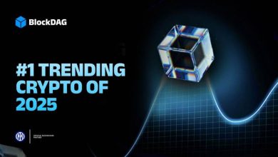 forget-catching-bpengu’s-presale-finale:-this-is-why-insiders-have-poured-80x-more-into-blockdag!